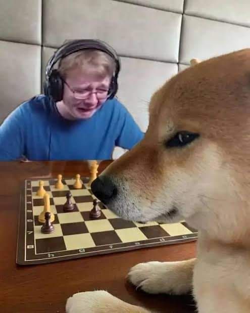Chess Board with Move Suggestion